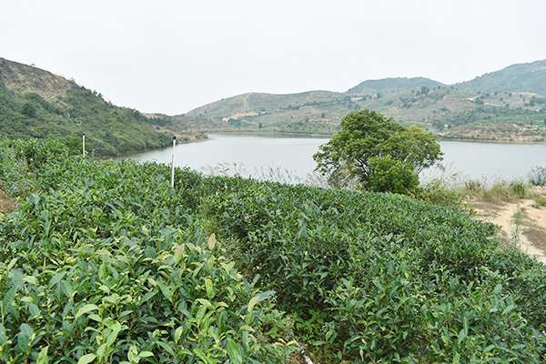 基地风采
