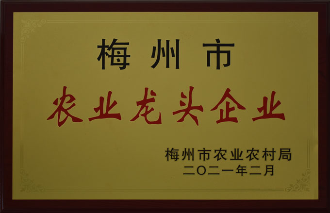 梅州市农业龙头企业